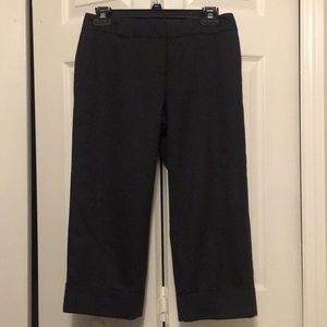 Ann Taylor Petite Capris